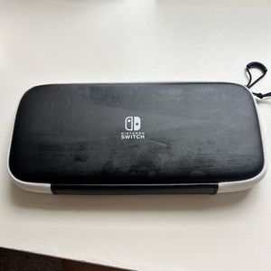 Nintendo Case